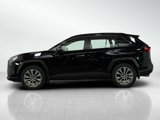 Used 2019 Toyota RAV4 Limited image 2