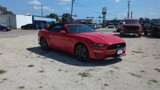 Used 2023 Ford Mustang Premium image 2