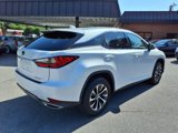 Used 2021 Lexus RX 350 Premium w/ Premium Package image 3