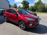 Used 2019 Ford Escape SEL image 5