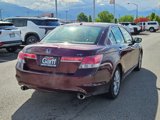 Used 2011 Honda Accord EX-L image 3
