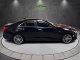 Used 2021 Cadillac CT4 Premium Luxury w/ Climate Package image 2
