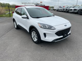 Used 2021 Ford Escape SE w/ Convenience Package image 3