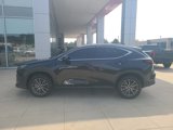 Used 2025 Lexus NX 350 AWD w/ Premium Package image 4