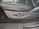 Used 2021 Ford F150 XLT w/ Equipment Group 302A High image 6