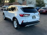 Used 2020 Ford Escape SE image 5