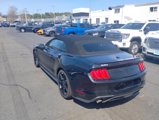 Used 2019 Ford Mustang Premium w/ Equipment Group 201A image 5