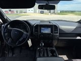Used 2017 Ford F150 XLT w/ Equipment Group 302A Luxury image 3