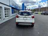 Used 2019 Ford Escape SE image 5