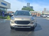 Used 2020 Ford Escape SEL image 2