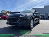 Used 2022 Ford Escape SE w/ Convenience Package image 2