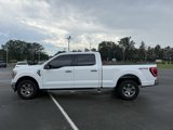 Used 2022 Ford F150 XLT w/ Equipment Group 302A High image 5