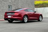 Used 2019 Ford Mustang Coupe image 4