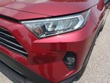 Used 2021 Toyota RAV4 XLE Premium image 5