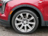 Used 2019 Cadillac XT4 Premium Luxury image 4