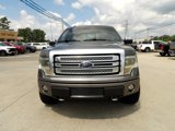 Used 2013 Ford F150 Platinum image 3