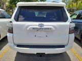 Used 2024 Toyota 4Runner SR5 Premium image 5