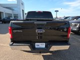 Used 2016 Ford F150 XLT w/ Equipment Group 301A Mid image 4