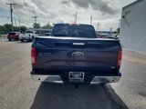Used 2016 Ford F150 XLT w/ Equipment Group 302A Luxury image 4