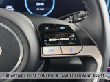 Used 2024 Hyundai Elantra Limited image 6