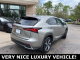 Used 2019 Lexus NX 300h AWD image 3