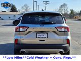 Used 2022 Ford Escape SE w/ Convenience Package image 6