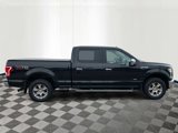 Used 2015 Ford F150 XLT image 5