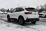 Used 2025 Ford Escape ST-Line w/ Tech Pack #1 image 6
