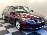 Used 2015 Honda Accord EX-L image 3