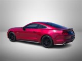 Used 2017 Ford Mustang GT Premium w/ Equipment Group 401A image 3