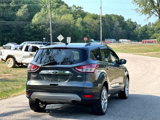 Used 2016 Ford Escape SE w/ SE Chrome Package image 5