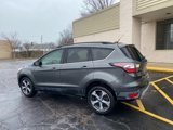 Used 2017 Ford Escape SE w/ Equipment Group 201A image 3