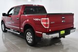 Used 2014 Ford F150 XLT w/ Equipment Group 302A Luxury image 4