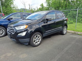 Used 2020 Ford EcoSport SE w/ SE Convenience Package image 4