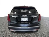 Used 2024 Cadillac XT5 Premium Luxury image 4