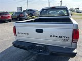 Used 2004 Dodge Dakota Sport w/ Tire & Handling Group image 4