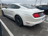 Used 2017 Ford Mustang Premium w/ Wheel & Stripe Package image 4