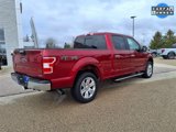 Used 2019 Ford F150 XLT w/ Equipment Group 302A Luxury image 2