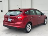 Used 2014 Ford Focus SE w/ SE Winter Package image 5