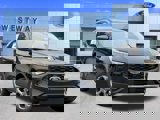 View Video