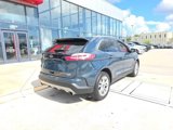 Used 2019 Ford Edge Titanium w/ Cold Weather Package image 5