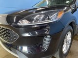 Used 2022 Ford Escape SE w/ Convenience Package image 5