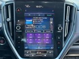 Used 2022 Subaru WRX Limited image 6