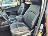 Certified 2022 Ford Escape SEL image 4