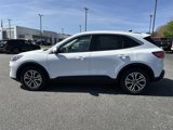 Used 2022 Ford Escape SEL image 4