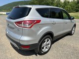 Used 2014 Ford Escape SE image 4