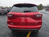 New 2024 Ford Escape ST-Line Elite w/ Premium Technology Package image 5