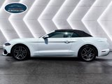 Used 2019 Ford Mustang Premium image 5