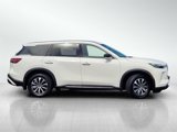 Certified 2025 INFINITI QX60 Pure image 3