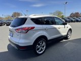 Used 2015 Ford Escape Titanium image 5